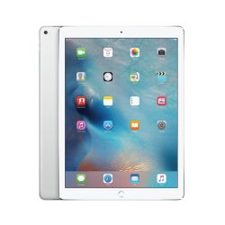 Refurbished Apple iPad Mini 5th Gen (A2124) 64GB - Silver, Unlocked A